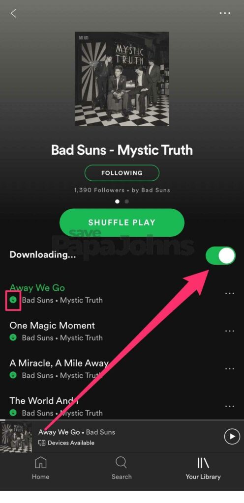 Spotify Premium Mod 